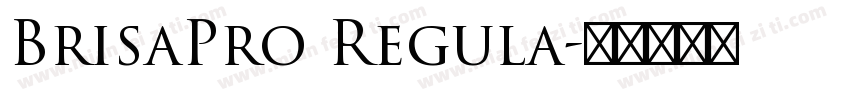 BrisaPro Regula字体转换
